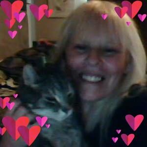 Meet your Posher, Hari